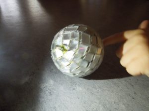 DSCN7879