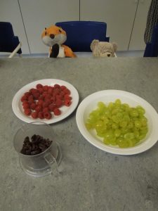 dscn8290
